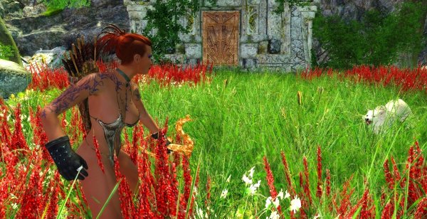 Из других образов Шэйлы в Enderal