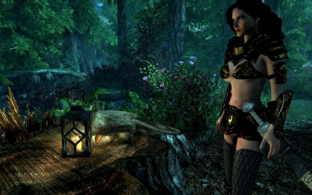 SkyrimSE 2019-02-09 10-53-12-95.jpg