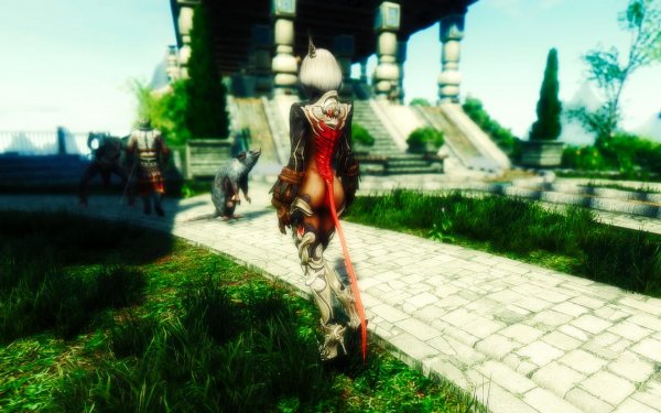 TESV 2018-01-08 20-37-06-22