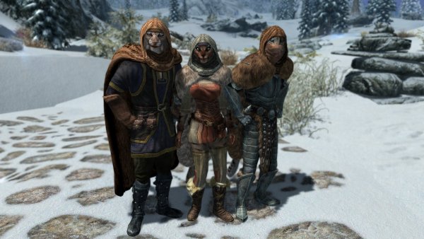 Каджиты... Во всём всегда они виноваты.