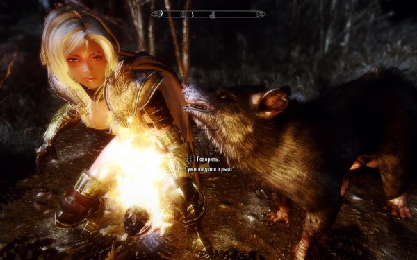 TESV 2018-01-07 13-14-38-98