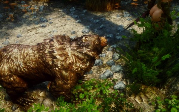 Эйрана съел, а это что...