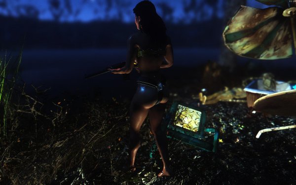 Fallout4 2019-02-12 11-28-47-21