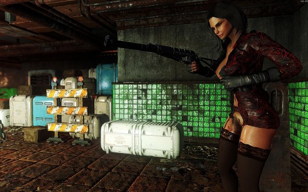 Fallout4 2019-02-08 14-25-59-78