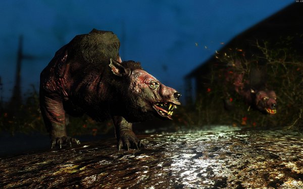 Fallout4 2019-02-07 10-15-21-01