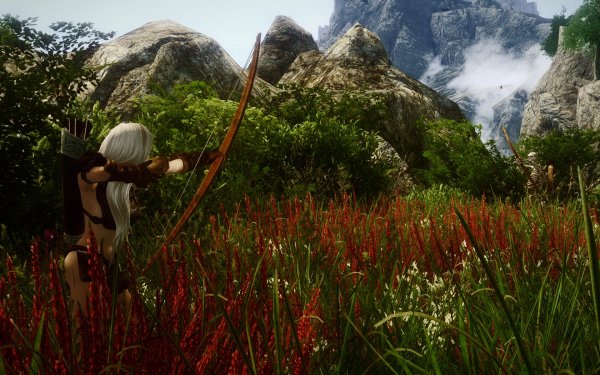 TESV 2019-02-25 14-18-29-13