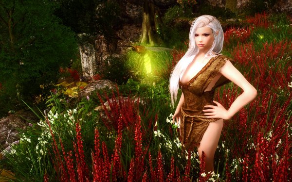 TESV 2019-02-25 11-32-38-87