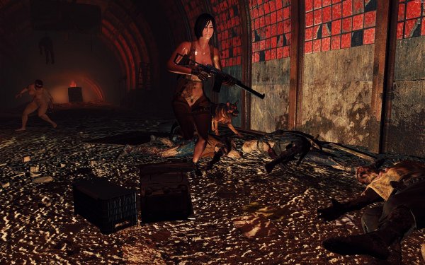 Fallout4 2019-02-21 12-51-59-17