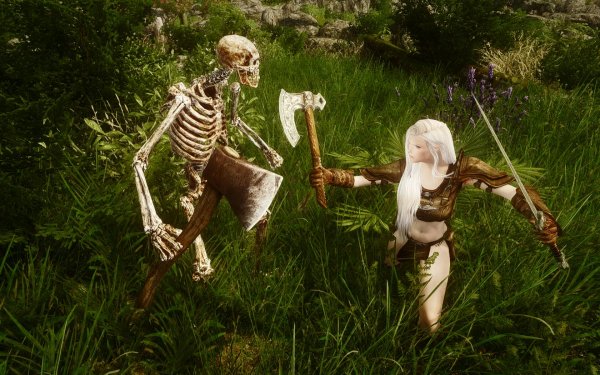 TESV 2019-02-25 14-24-31-10