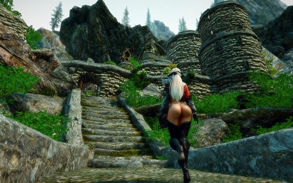 TESV 2019-02-27 14-16-27-81