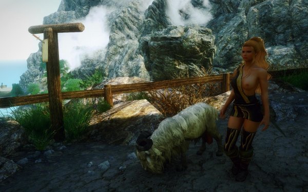 TESV 2019-02-24 11-18-14-85