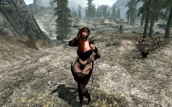 TESV 2019-02-03 12-23-09-94.jpg