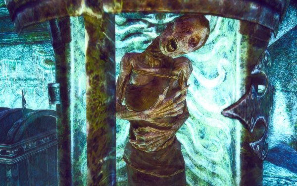 TESV 2019-02-26 13-43-29-74