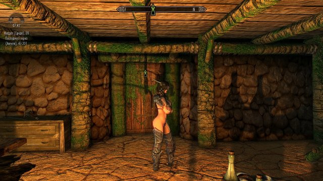 SkyrimSE 2019-03-13 08-44-52.jpg