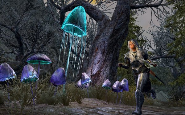 TESV 2019-03-11 13-34-44-22