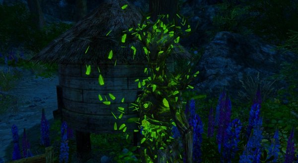 Сприган-леди ночью - красива. Enderal