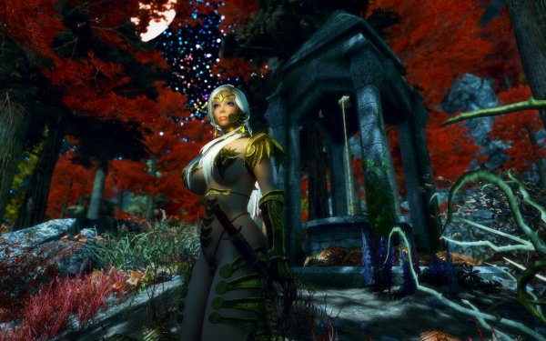 TESV 2019-02-28 14-11-32-33