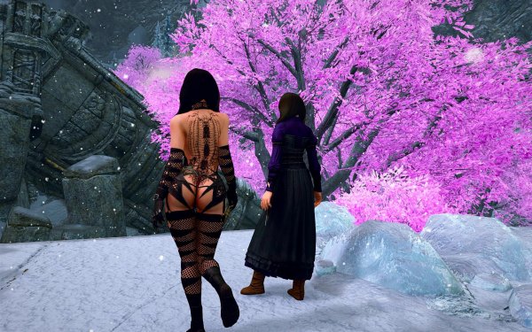 TESV 2019-03-22 09-33-23-60