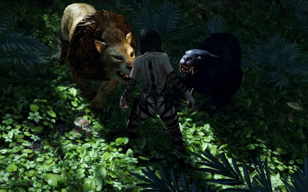 TESV 2019-03-22 12-50-32-95