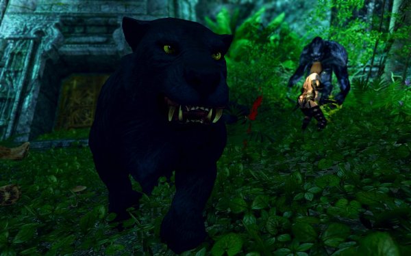 TESV 2019-03-22 12-55-55-04