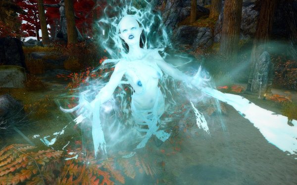 TESV 2019-02-28 13-10-27-83