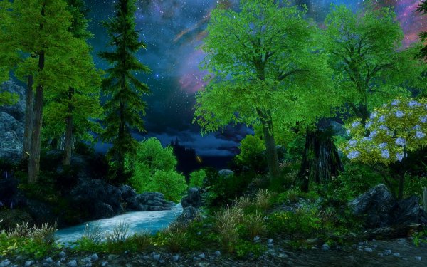 TESV 2019-03-04 13-59-39-15