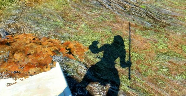 Фолл или Скай?  ))