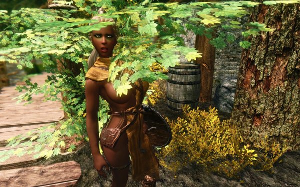 TESV 2019-04-19 20-59-50-65