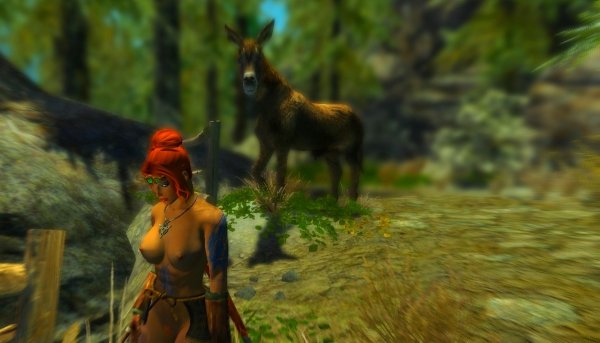 Шэйла и скакун. Enderal