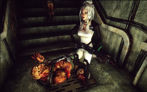 Fallout3 2019-04-29 13-38-55-53