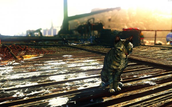 Fallout4 2019-05-28 11-27-56-42