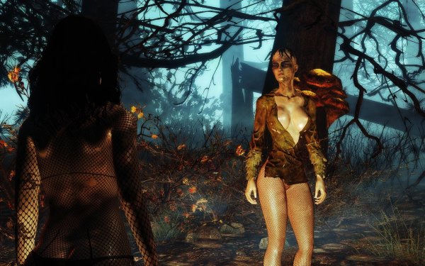 Fallout4 2019-05-30 20-31-46-84