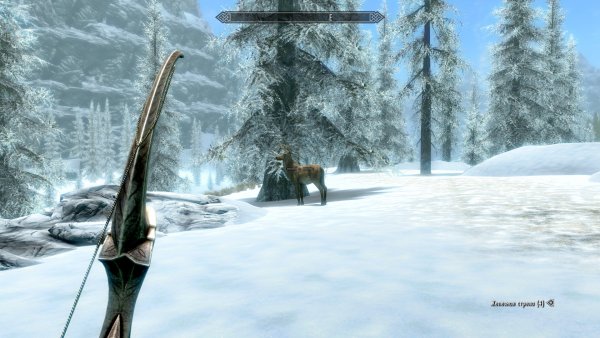 Paradiseplace North Fjords