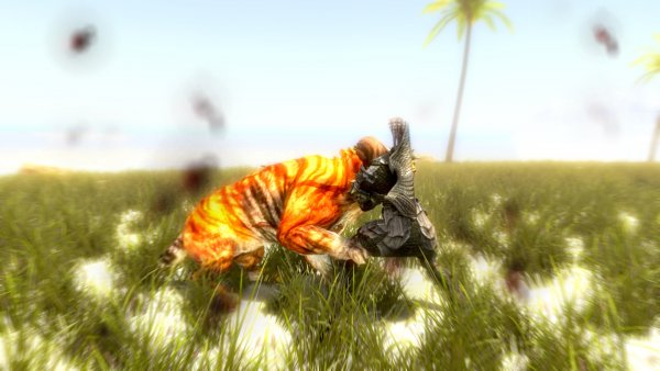 Paradiseplace Paradise islands