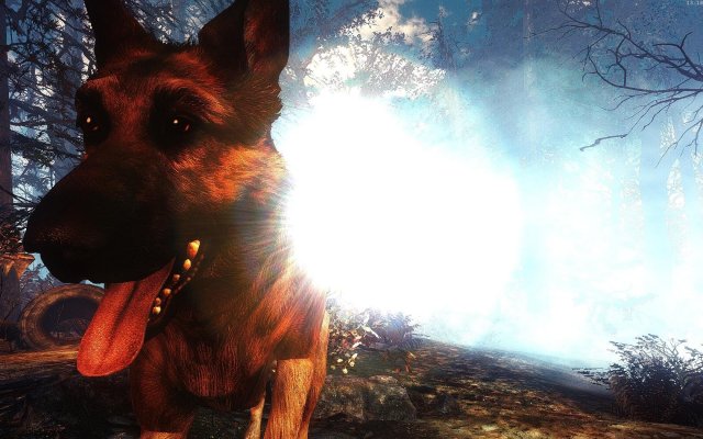 Fallout4 2019-06-06 13-18-24-93.jpg