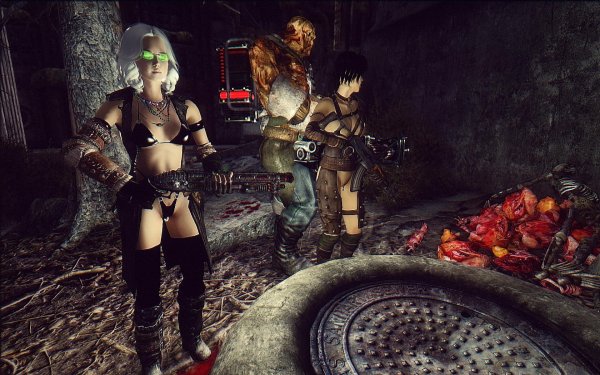 Fallout3 2019-06-13 10-33-13-16