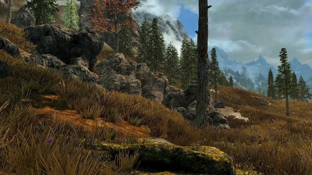 SkyrimSE 2019-07-02 19-46-52.jpg