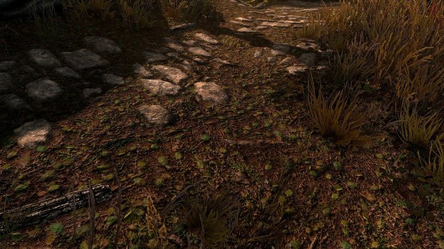 SkyrimSE 2019-07-07 14-22-11.jpg