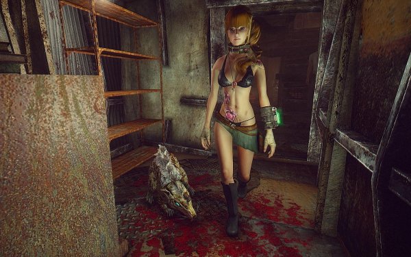 FalloutNV 2019-07-21 10-34-59-23