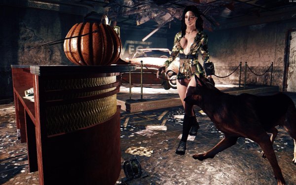 Raider Pet квест