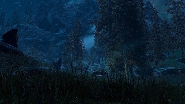 628231060_SkyrimSE2019-08-0420-20-13.thumb.jpg.df380e31be4cd929978cf61f7a0d3343.jpg