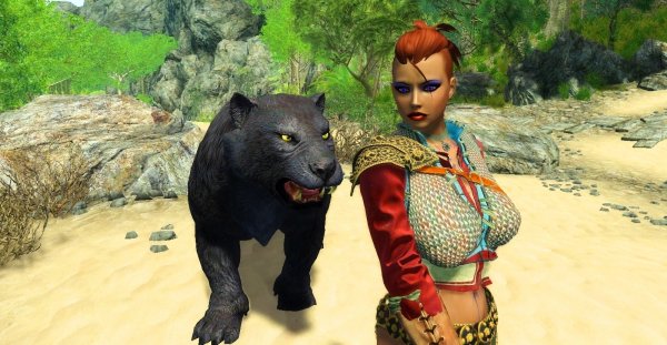 Wild: Кыс-кыс!  Enderal