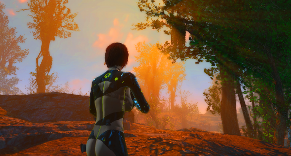 Ева уходит в закат.. Fallout4