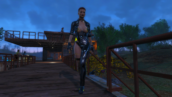 Кейт близ Сэнкчуари.  Fallout4