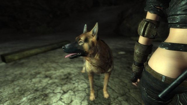 NewVegas20191011 21.44.48.jpg