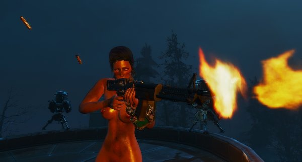 Ночной отстрел зобаков. Fallout4