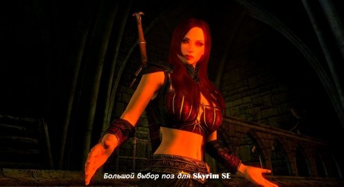 Pinup Poser SSE_Torn v_sse1-05_ru