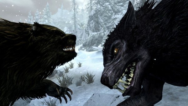 Враждебно встретили гостей медведи-оборотни..