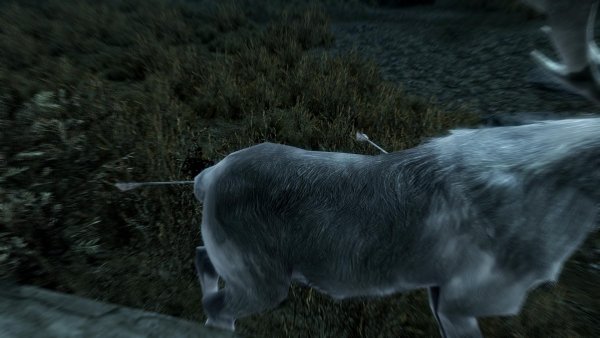 TESV 2019-11-24 15-22-25-95