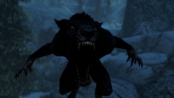 Где лайки за классные скриныы?!!! SkyrimSE